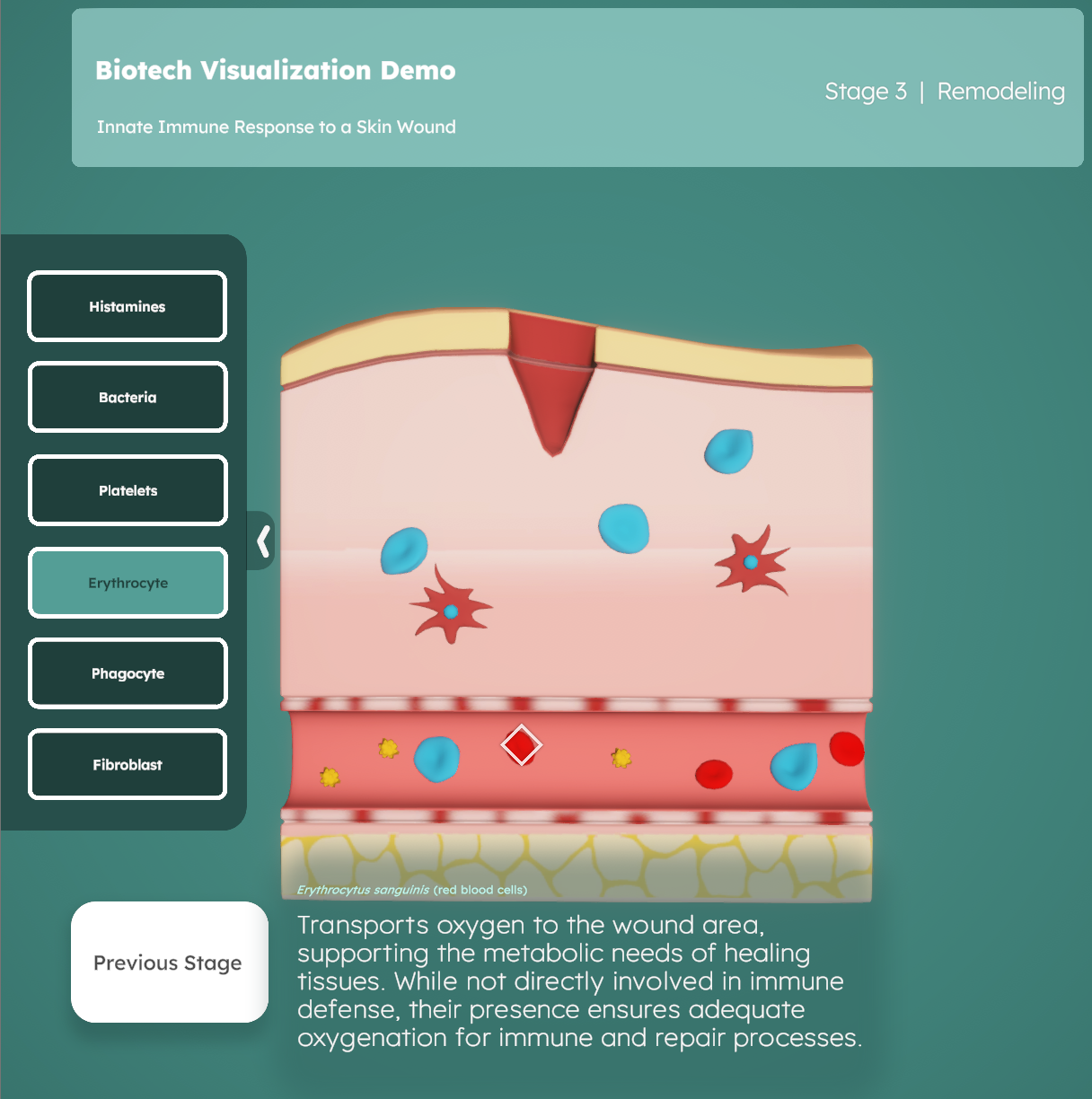 Biotech visualization stages with educational context panels